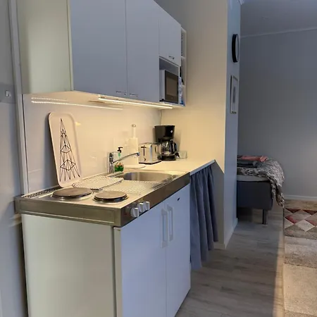 公寓 Centre Of Lahti, Cosy And Covenient! *