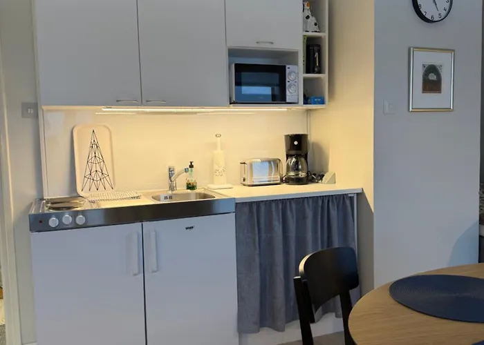 Centre Of Lahti, Cosy And Covenient! *