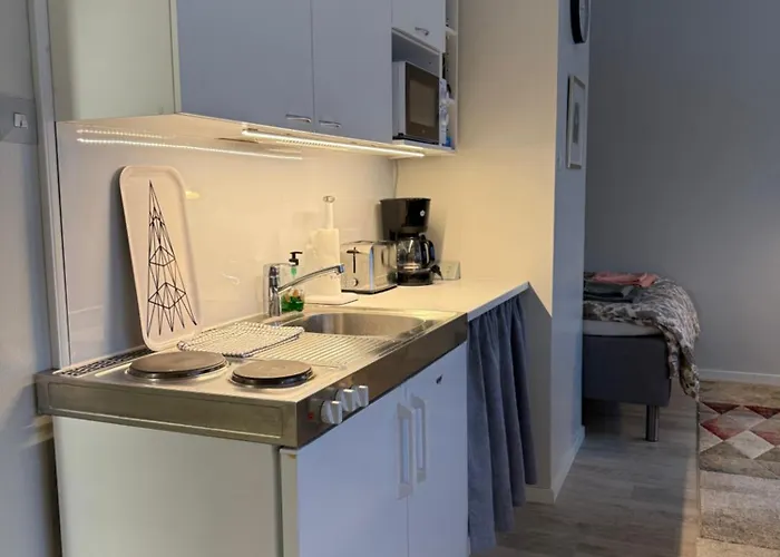 公寓 Centre Of Lahti, Cosy And Covenient! *